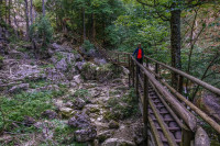 /album/barenschutzklamm-19-august-2025/barenschutzklamm-schusserlbrunn-19-08-2025-2-jpg/